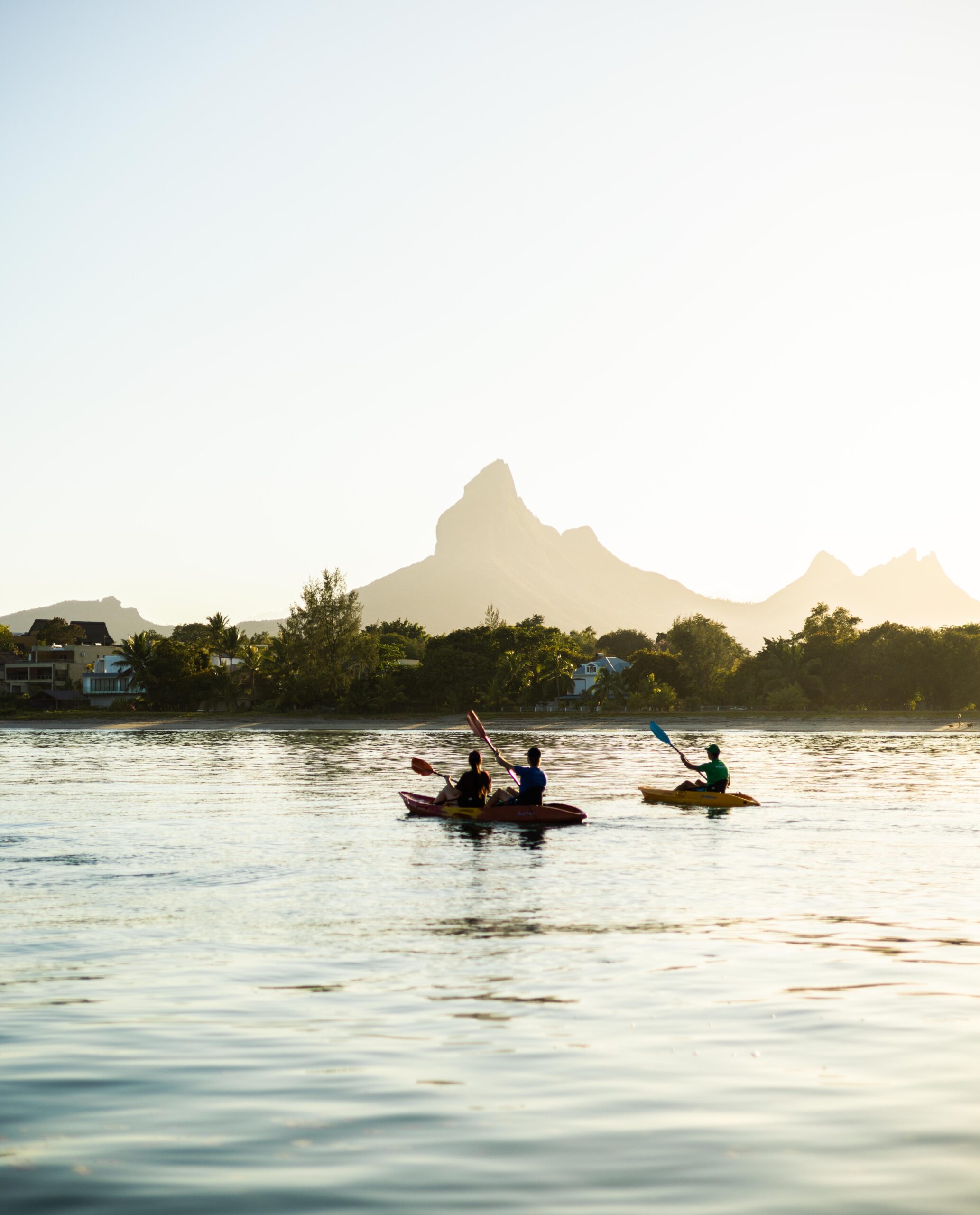 Kayak with Dolphins in the Tamarin Bay - Image 4