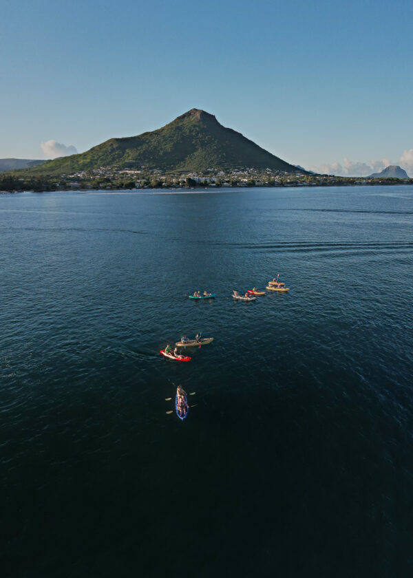 Kayak with Dolphins in the Tamarin Bay - Image 7