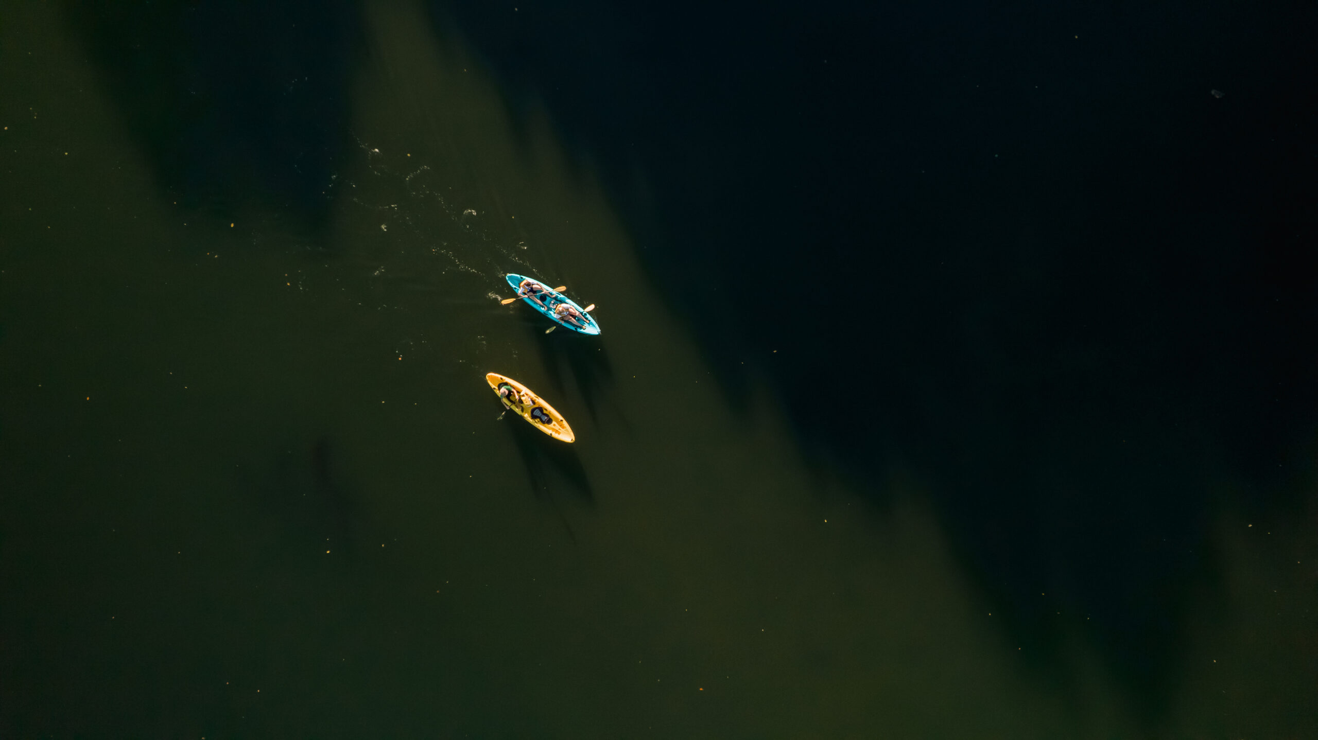 Kayak on the Tamarin River - Image 2