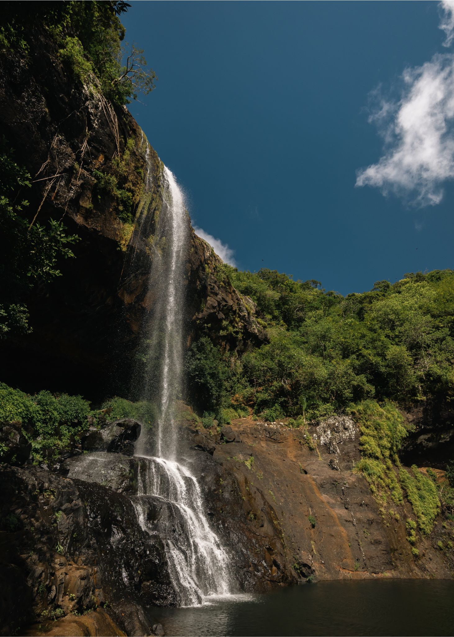 Full Canyon Tamarind Falls - 5-Hour Hike - Image 2