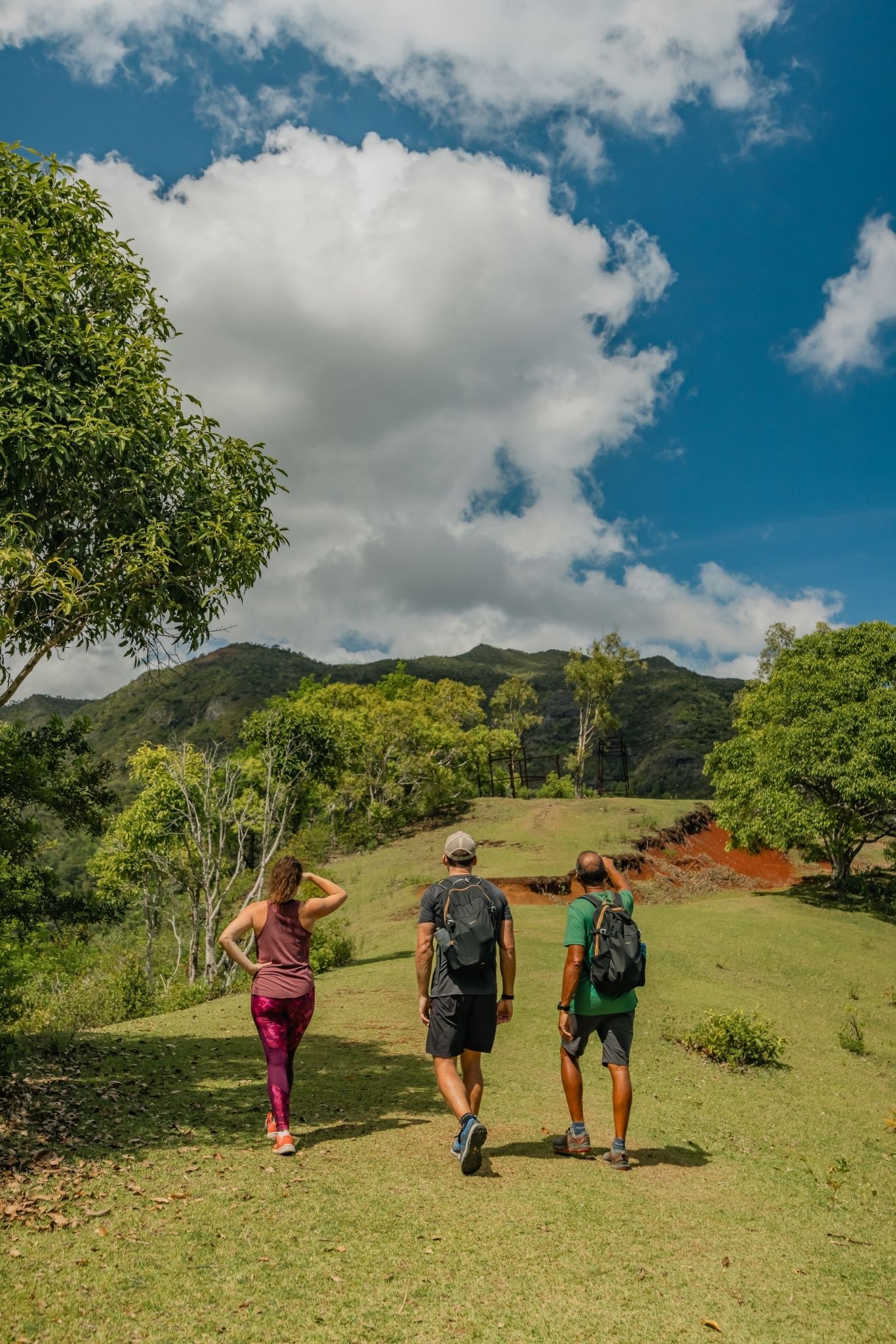 Discover the Black-River Gorges - Image 11
