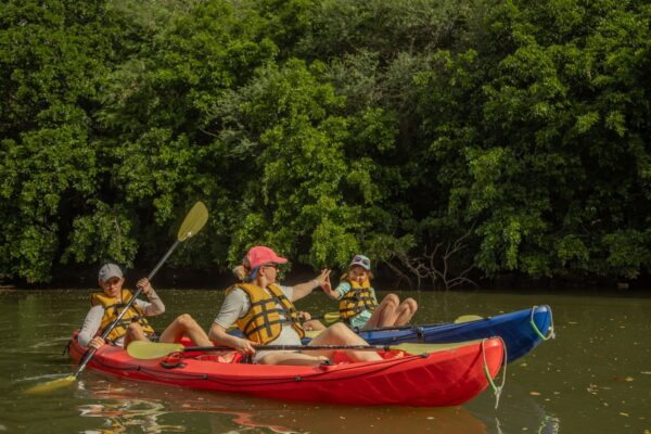 Kayak on the Tamarin River - Image 11