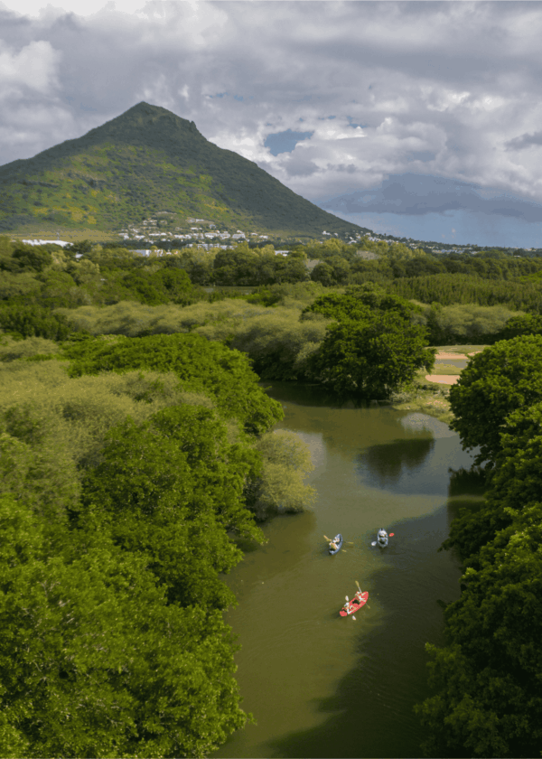 Kayak on the Tamarin River - Image 9