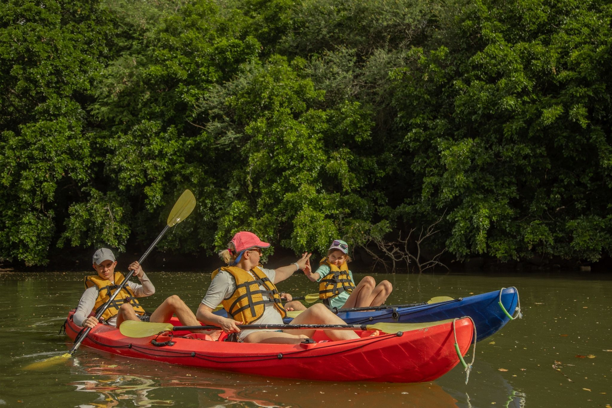 Kayak on the Tamarin River - Image 11