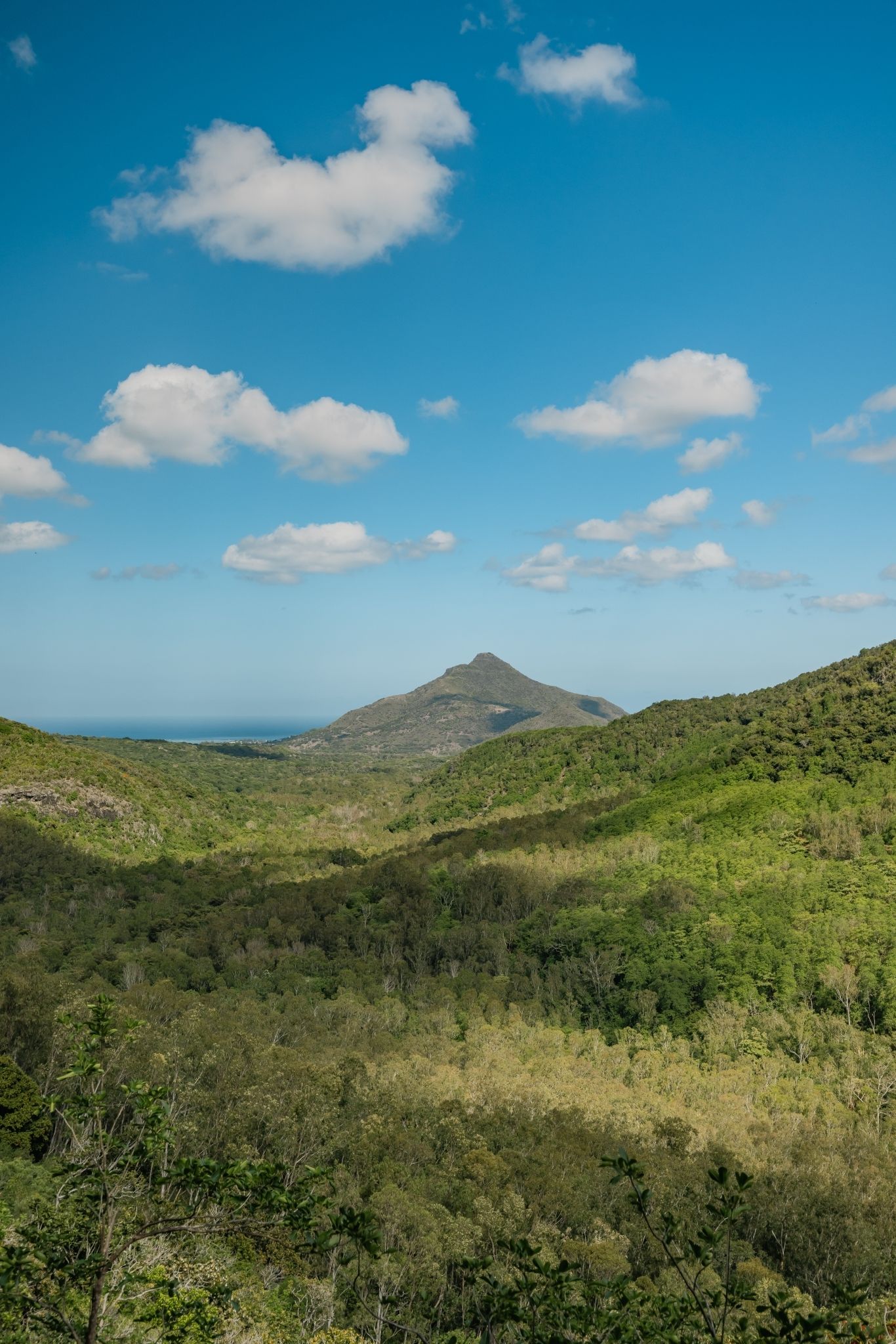 Discover the Black-River Gorges - Image 10