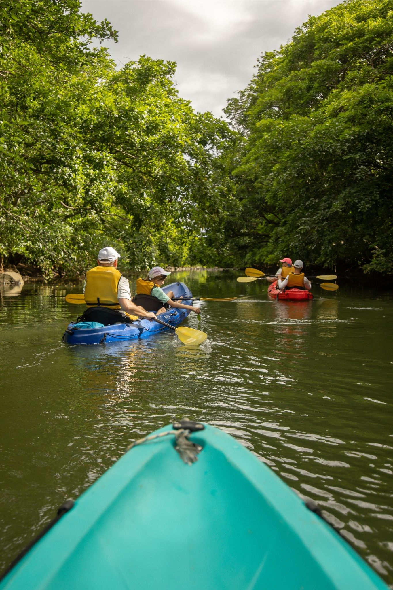 Kayak on the Tamarin River - Image 10