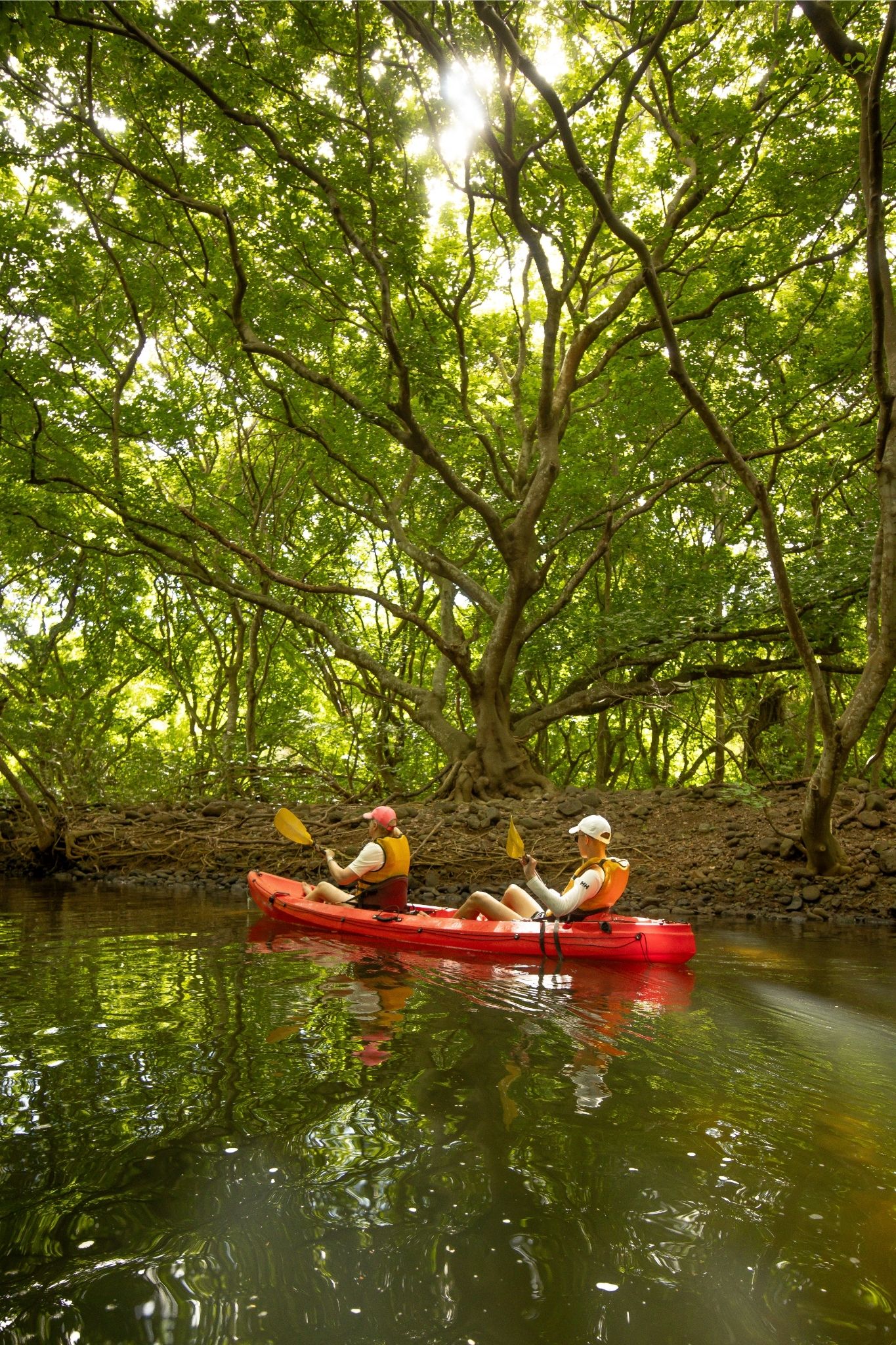 Kayak on the Tamarin River - Image 8