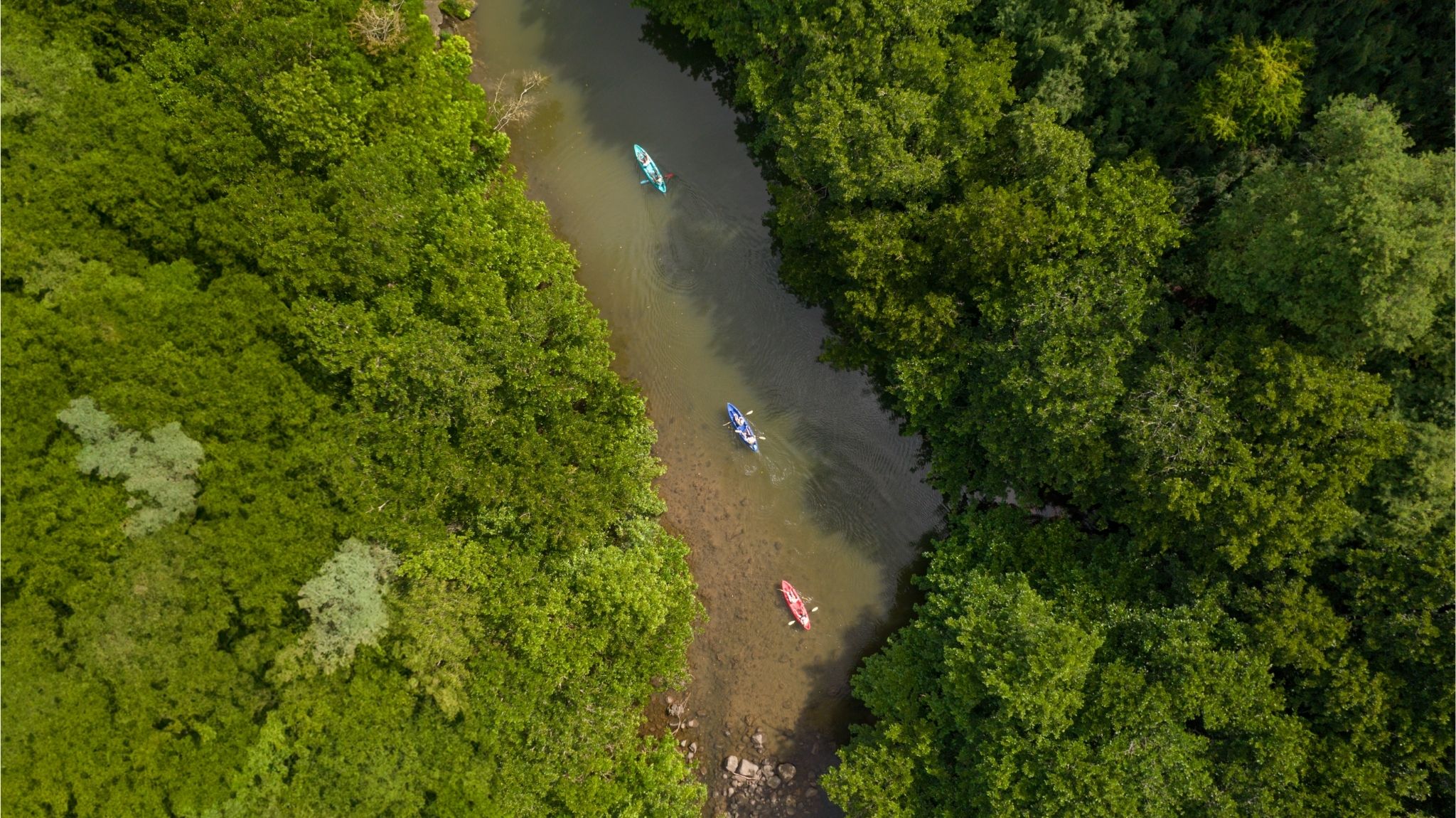 Kayak on the Tamarin River - Image 1