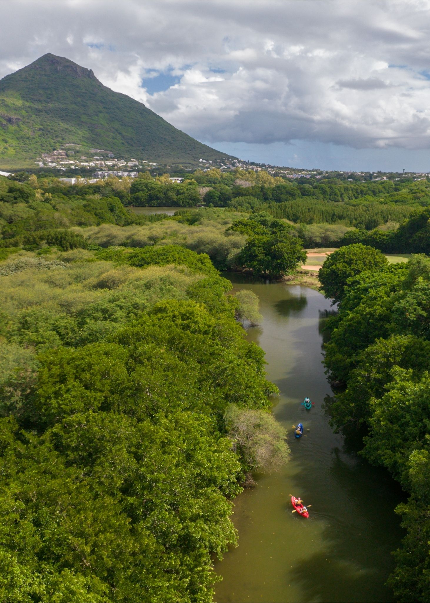Kayak on the Tamarin River - Image 7