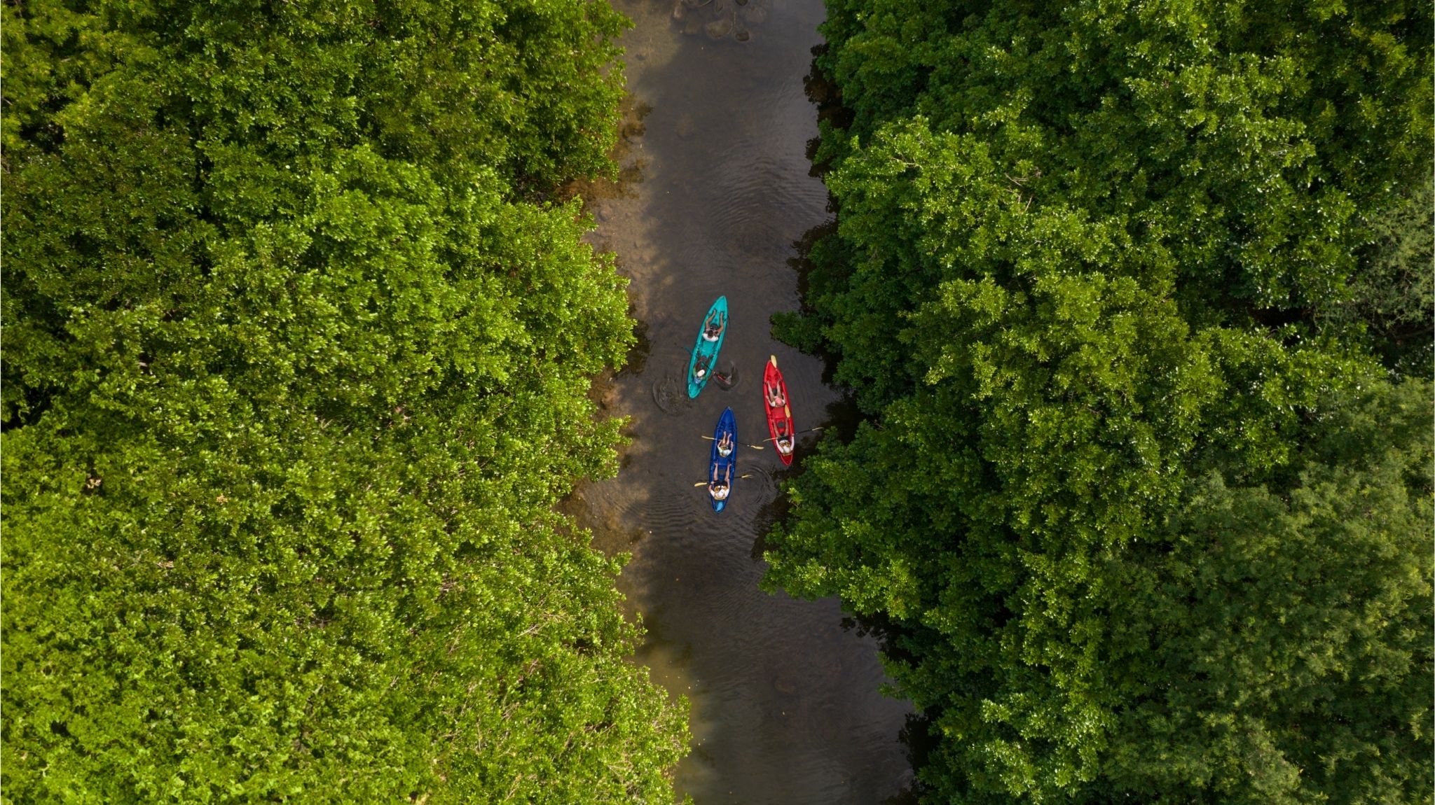 Kayak on the Tamarin River - Image 6