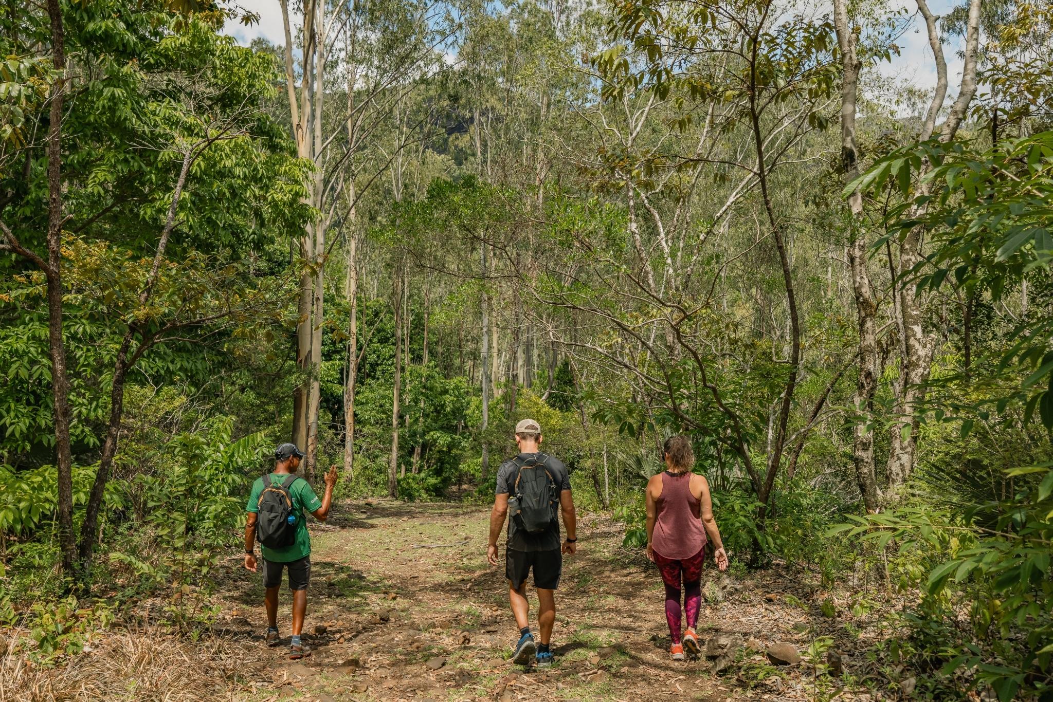 Discover the Black-River Gorges - Image 5