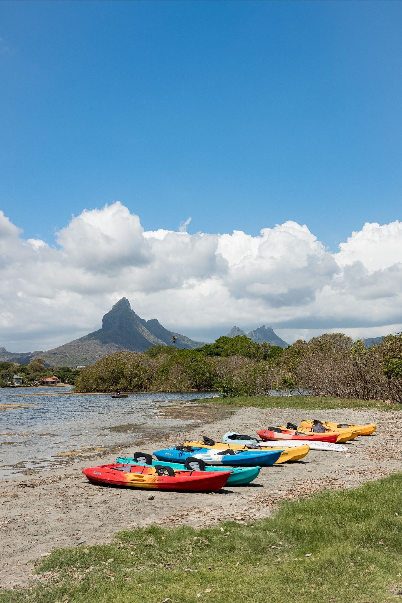 Kayak on the Tamarin River - Image 5