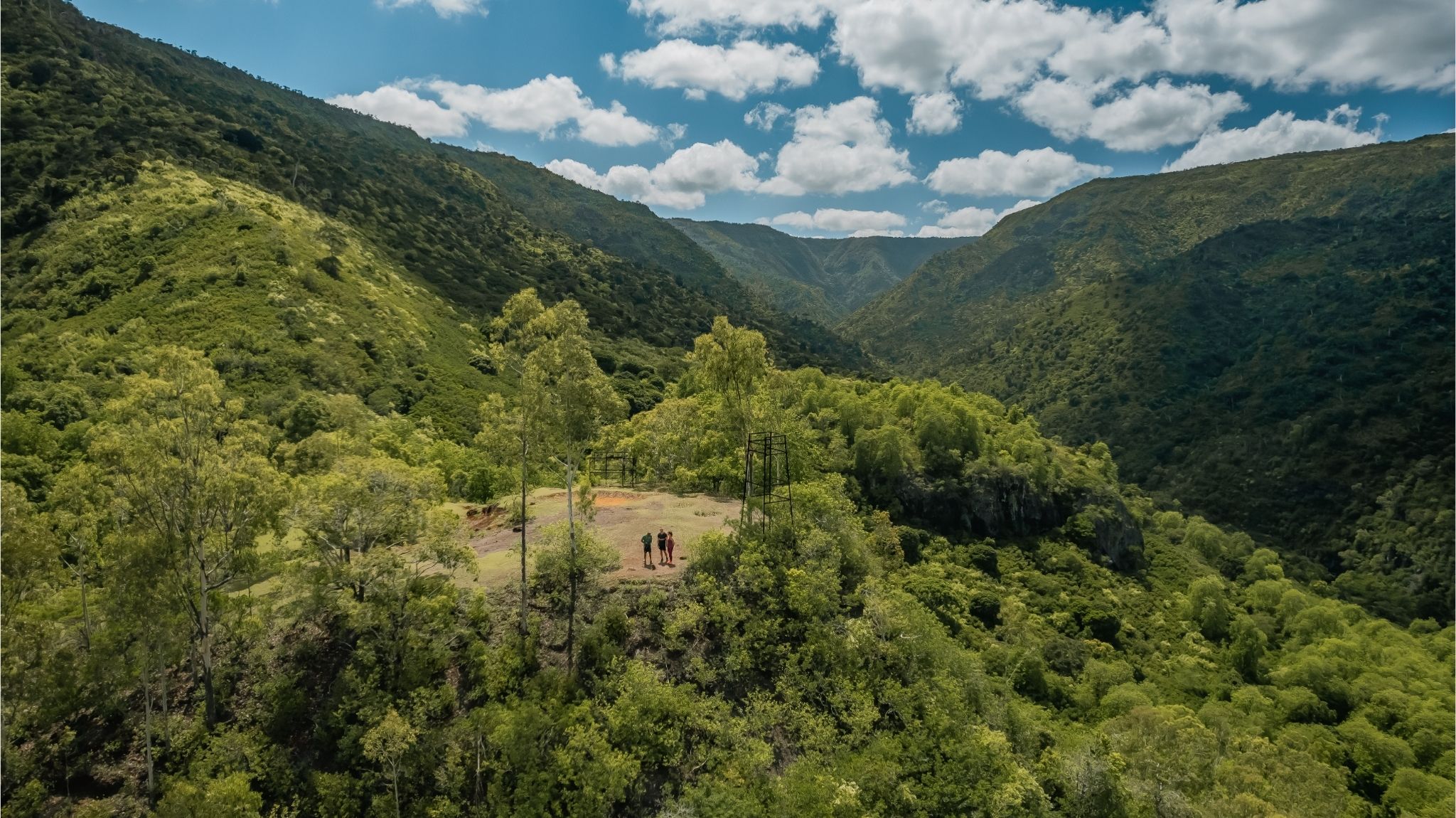 Discover the Black-River Gorges - Image 4