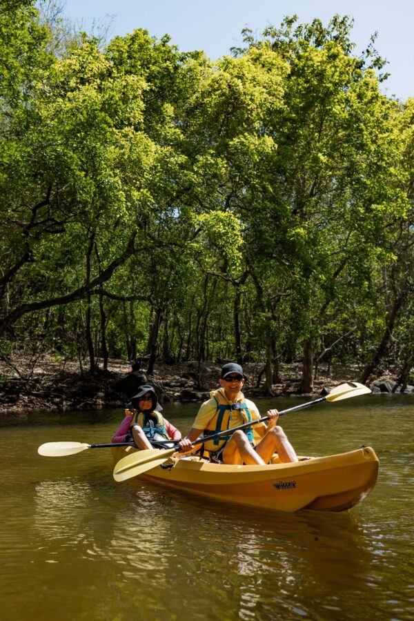 Kayak on the Tamarin River - Image 4