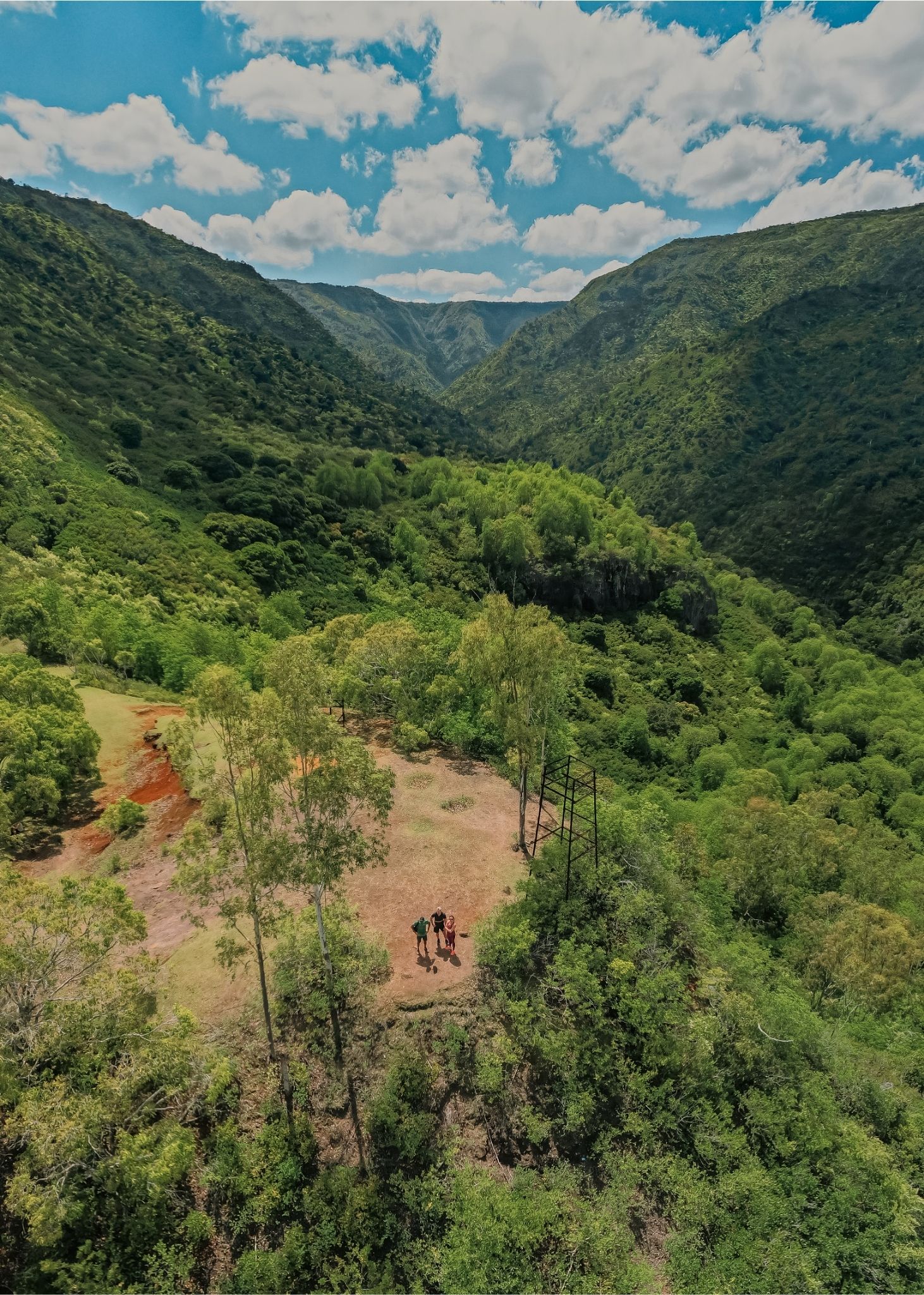 Discover the Black-River Gorges - Image 3