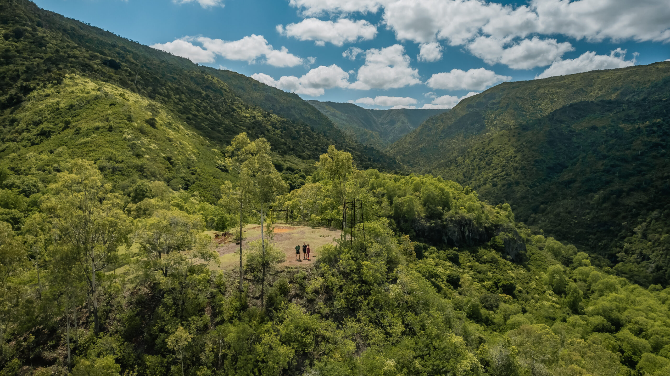 Discover the Black-River Gorges - Image 1