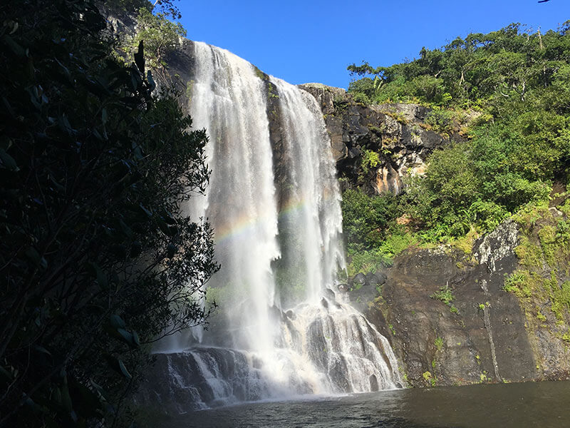 Tamarind Falls – Guided Hike in the Jungle - Image 1