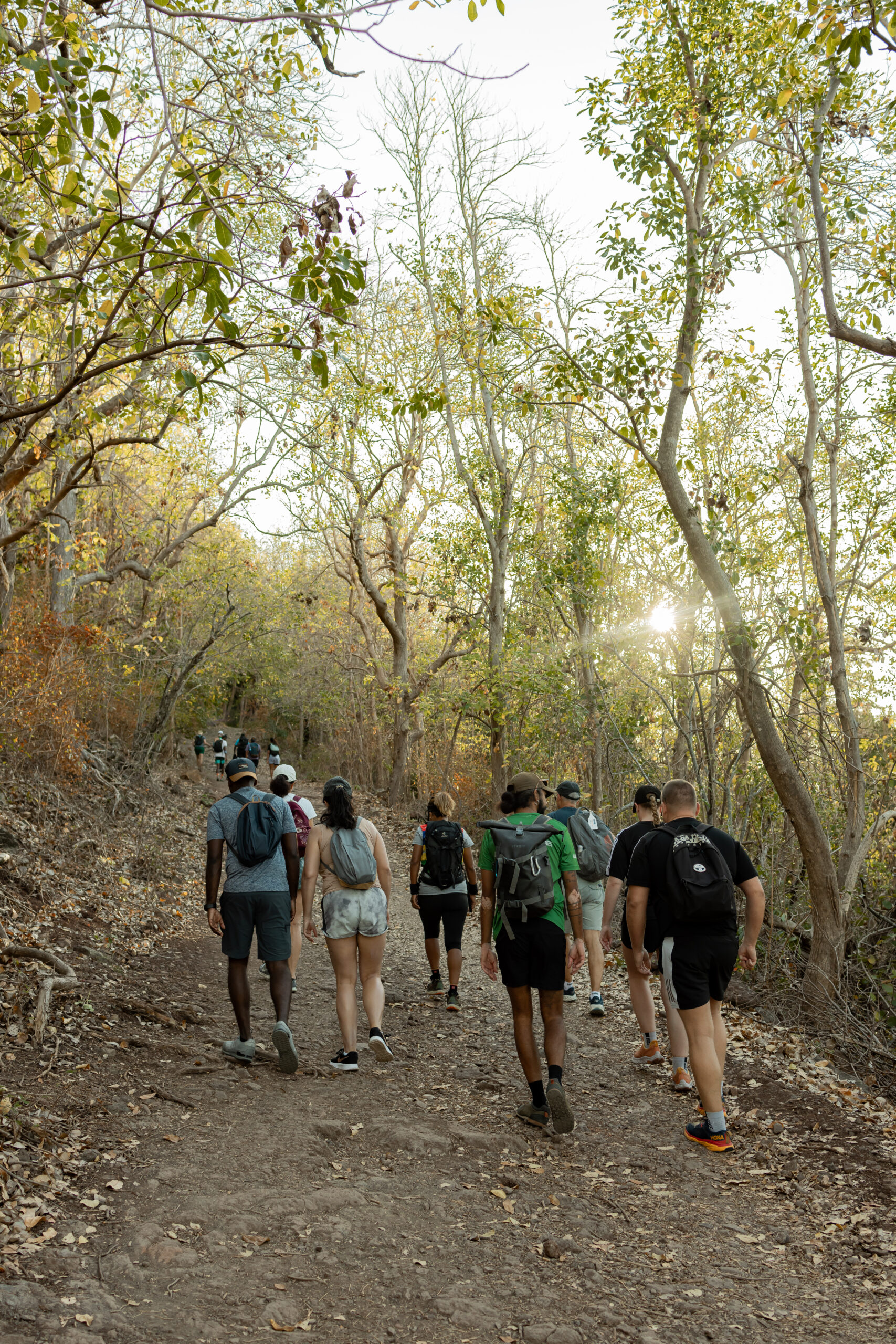 Le Morne Brabant - The Original Guided Tour - Image 8