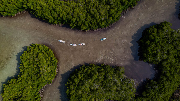 Kayak Adventure to l'Ile Aux Cerfs - Image 6