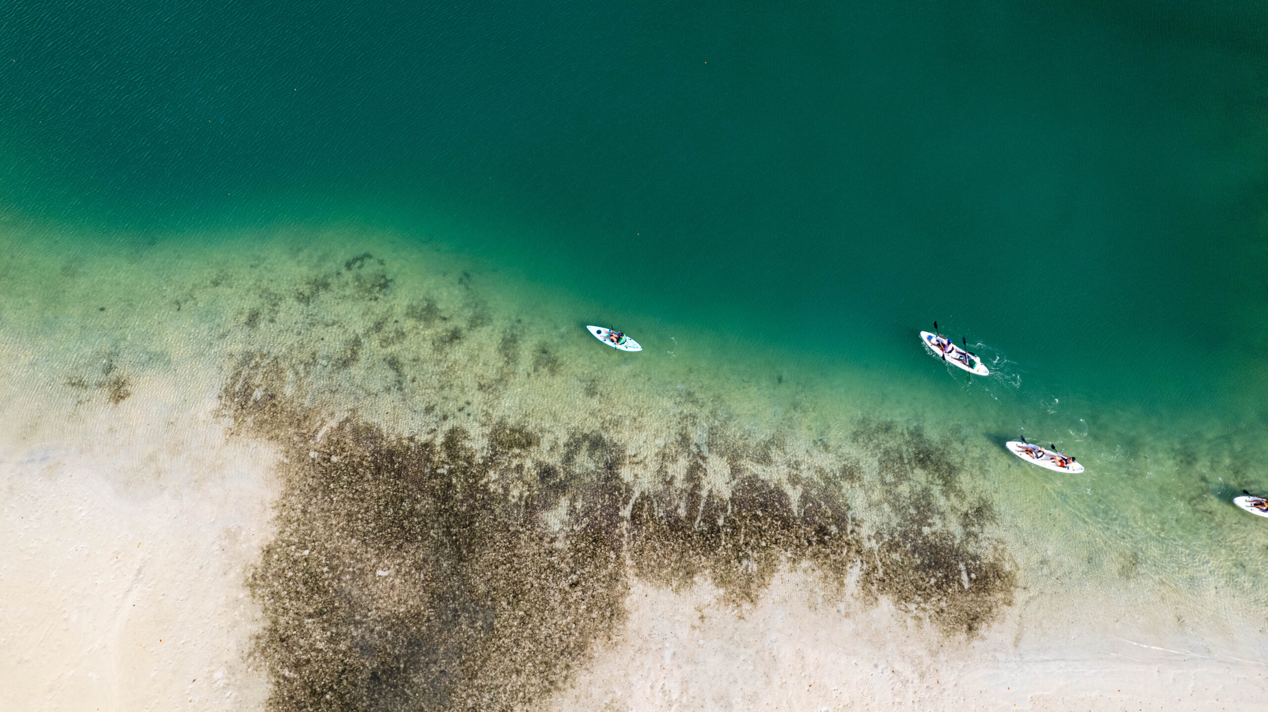 Kayak Adventure to l