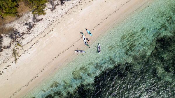 Kayak Adventure to l'Ile Aux Cerfs - Image 2