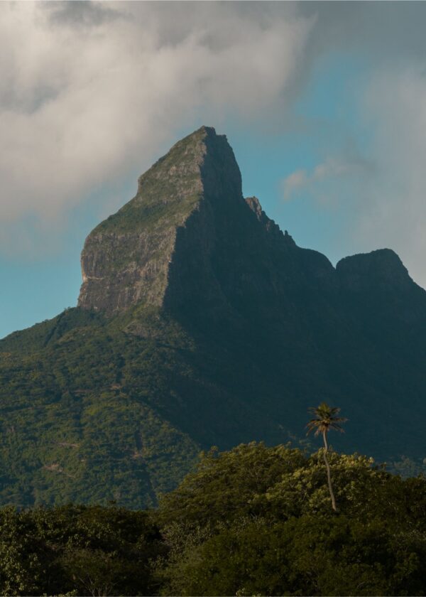 Kayak at Sunset on the Tamarin River - Image 8