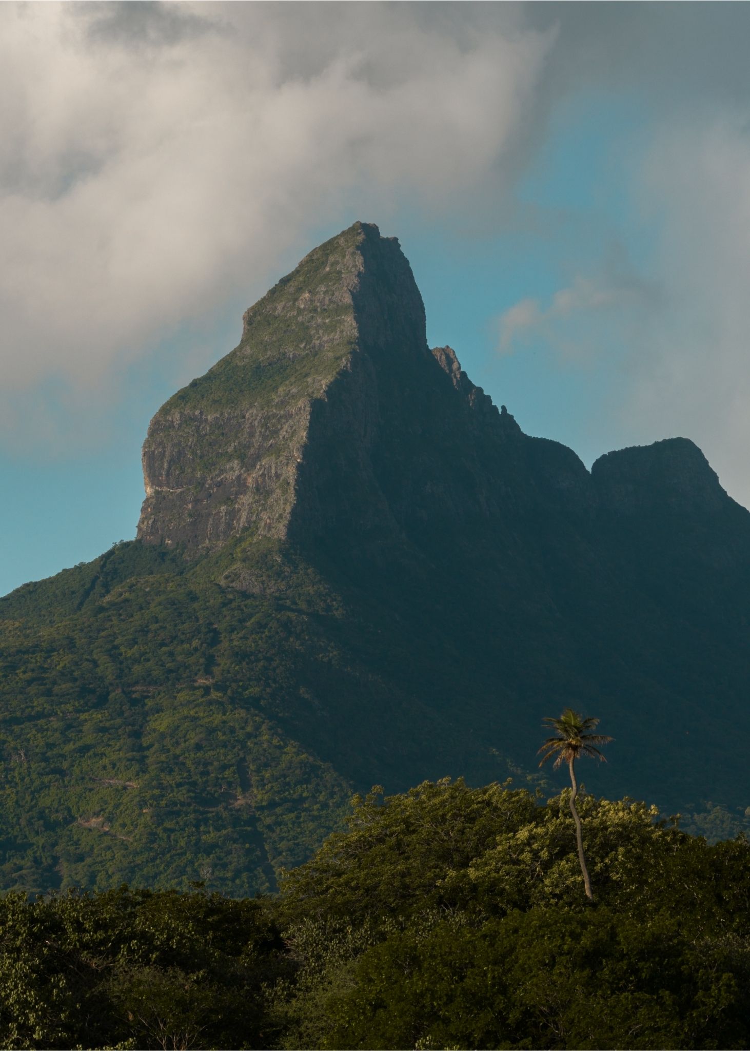 Kayak at Sunset on the Tamarin River - Image 8