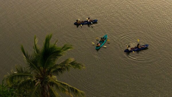 Kayak at Sunset on the Tamarin River - Image 5