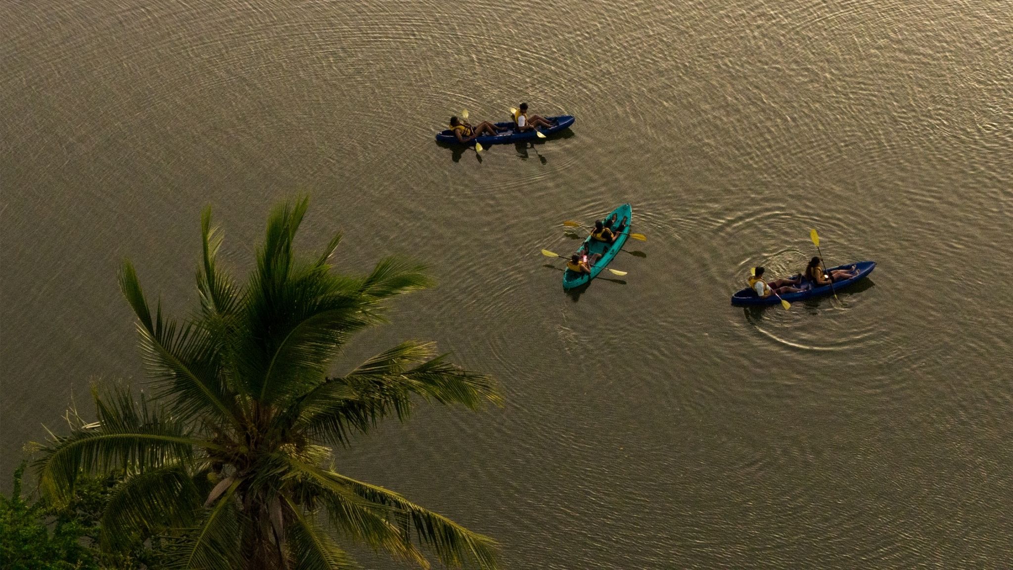 Kayak at Sunset on the Tamarin River - Image 5
