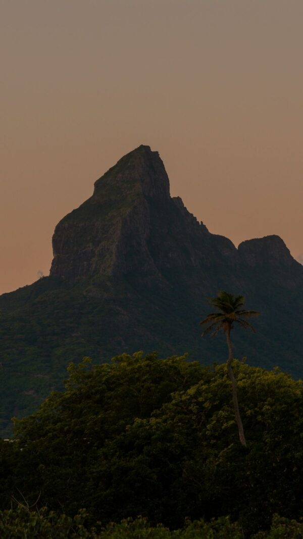 Kayak at Sunset on the Tamarin River - Image 3