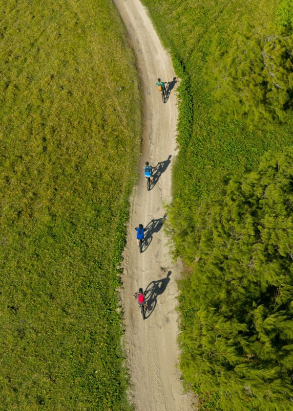 Wild South E-bike Adventure - Image 10