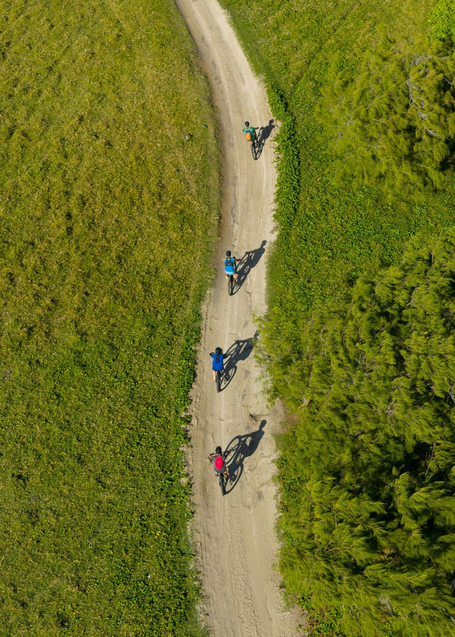 Wild South E-bike Adventure - Image 10