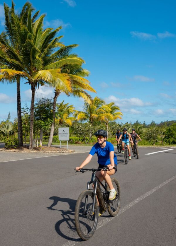 Wild South E-bike Adventure - Image 9