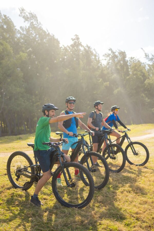 Wild South E-bike Adventure - Image 5