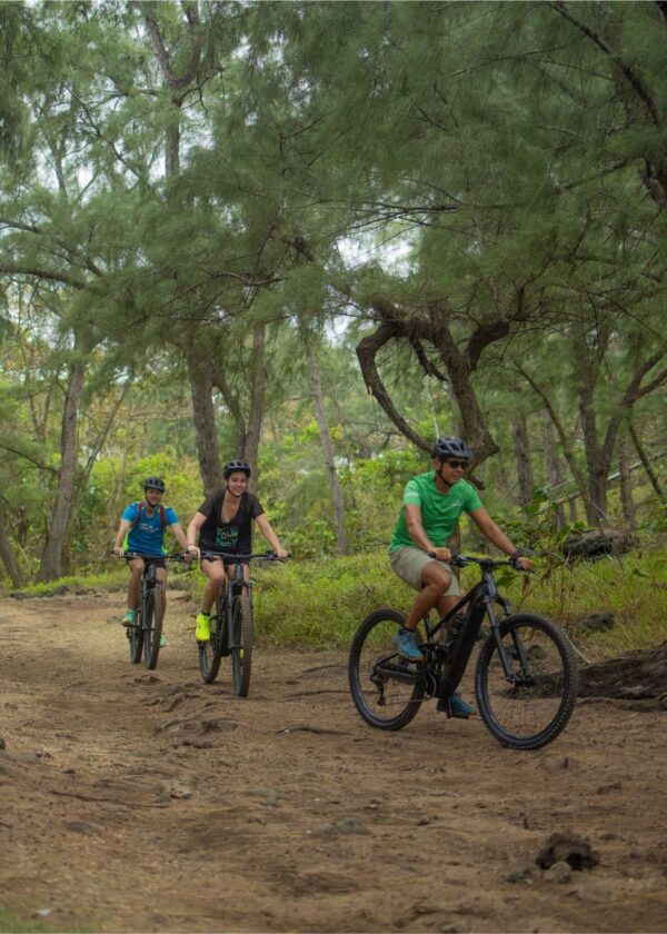 Wild South E-bike Adventure - Image 3