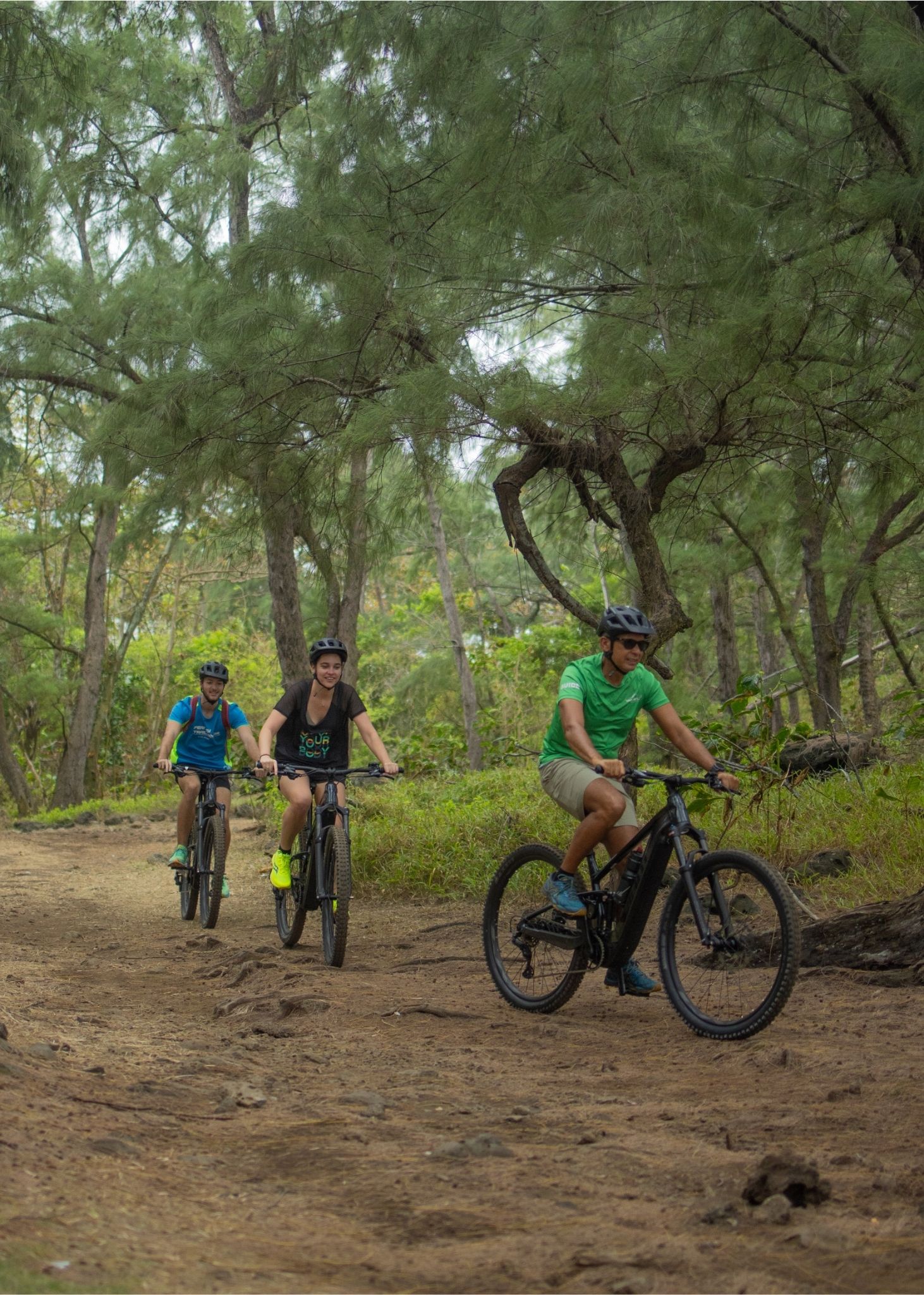 Wild South E-bike Adventure - Image 3