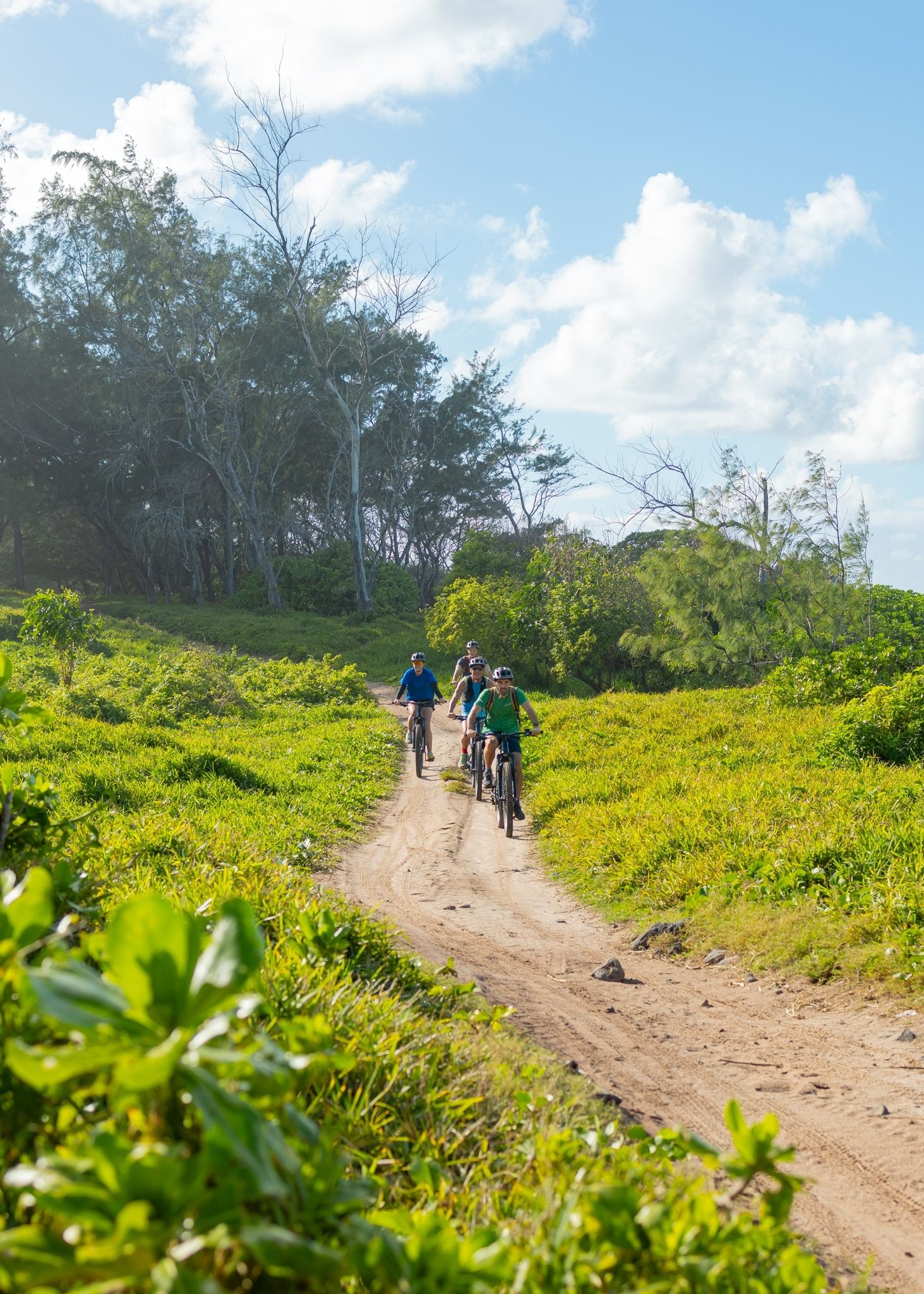 Wild South E-bike Adventure - Image 2