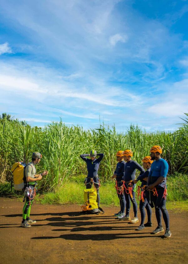 Tamarind Falls - Canyoning Adventure - Image 5