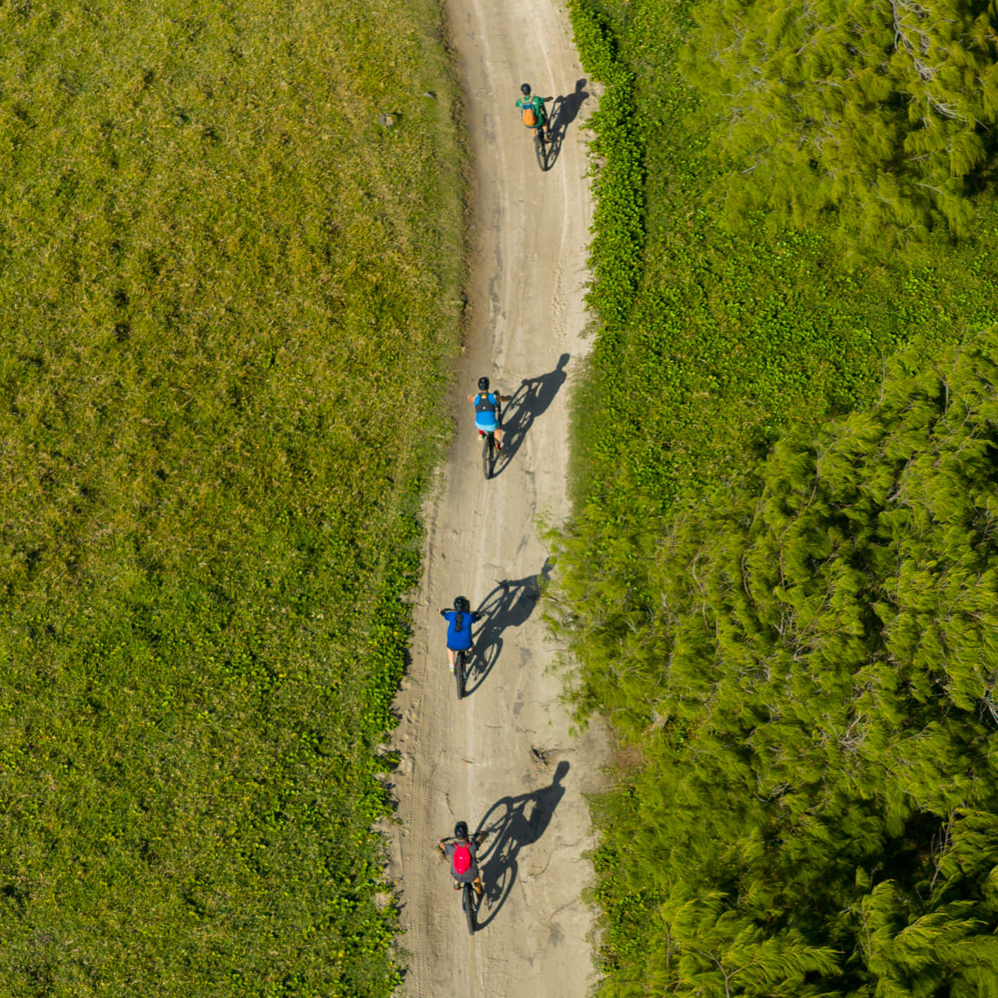 The South Coast - E-bike Guided Tour - Image 1