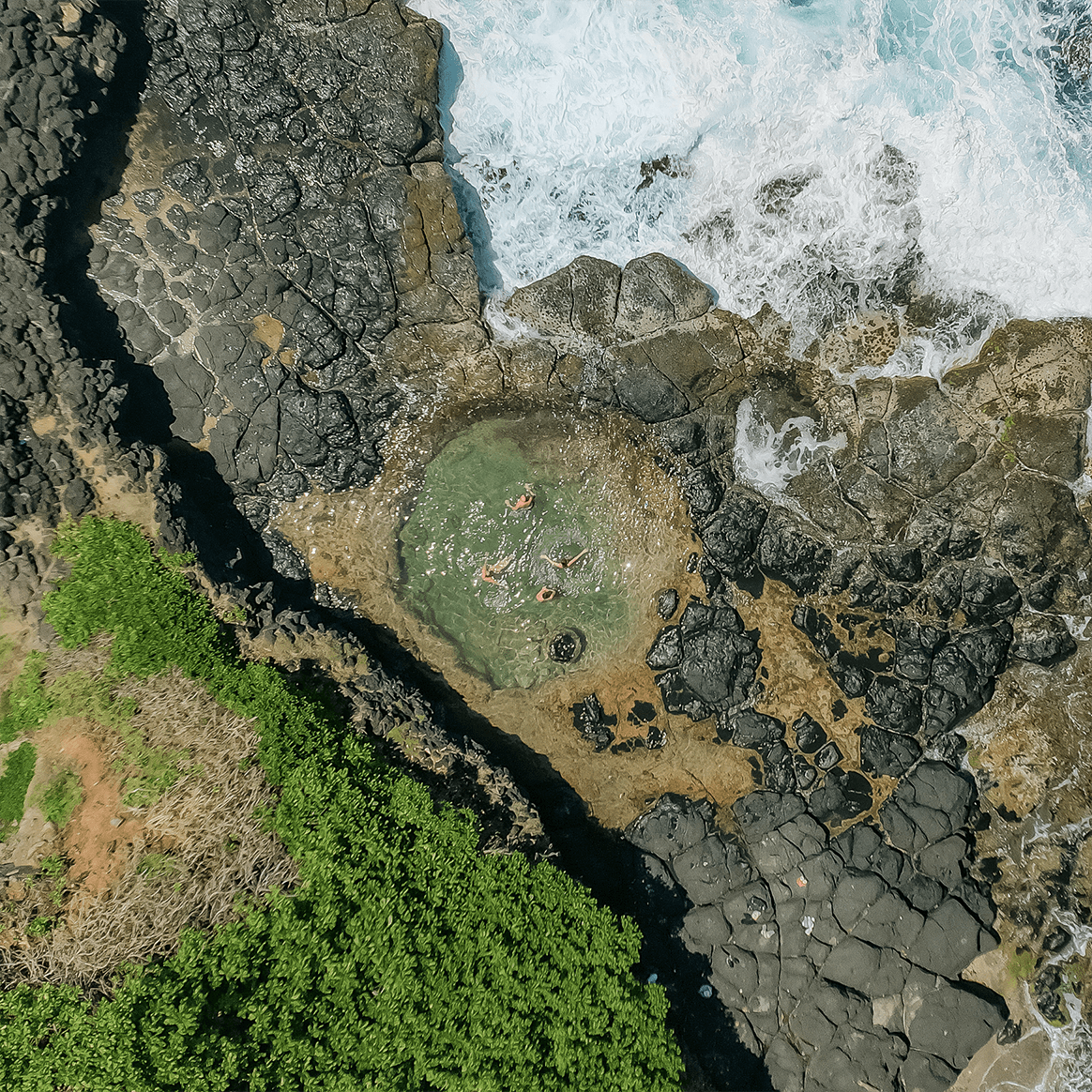 Discover the Wild South - Guided Hike - Image 1
